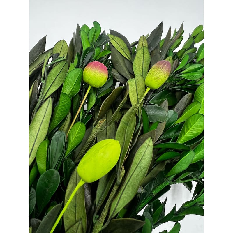 Preserved Decorative Dried Real Olive Boxwood Leaf Wreath 21 Inch - Green