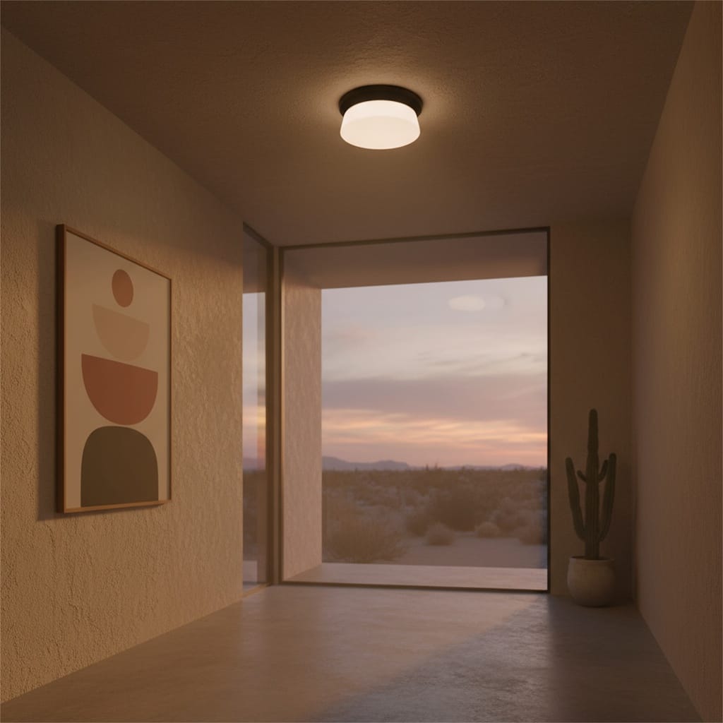 11 inch Black Integrated LED Flush Mount