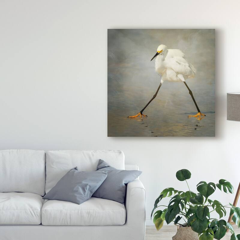 Alfred Forns 'The Rock Star' Canvas Art