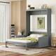 Option Gray