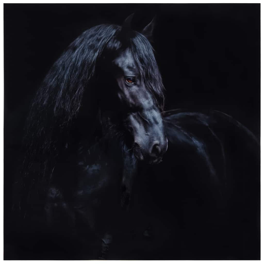 "Black Equine Attraction" Frameless Free Floating Tempered Glass Panel Graphic Wall Art