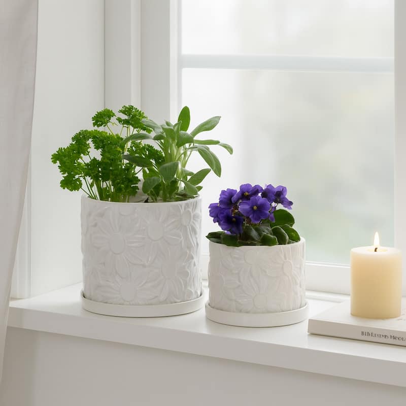 Decorative Ceramic Daisy Flower Planters - Set of 2