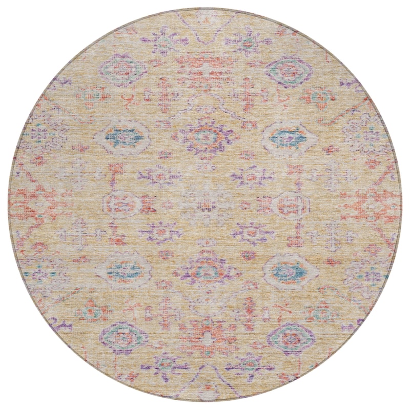 Machine Washable Indoor/ Outdoor Vintage Traditional Chantille Rug
