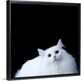 Shop Siberian Cat Black Float Frame Canvas Art Overstock