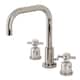 Option Polished Nickel
