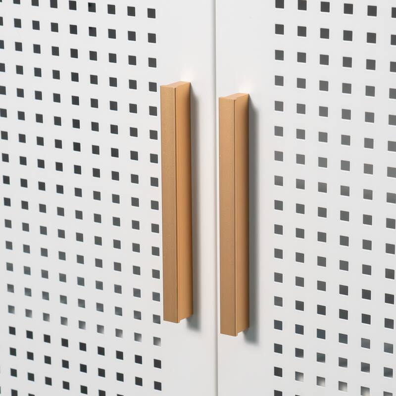 Metal Wall Mountable Storage Cabinet with Lock, Garage Cabinet File Cabinet with 2 Adjustable Shelves