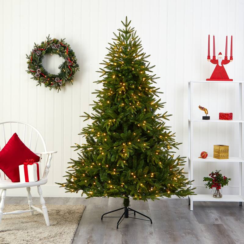6' Colorado Mountain Fir Christmas Tree with 350 Clear LED Lights - Green