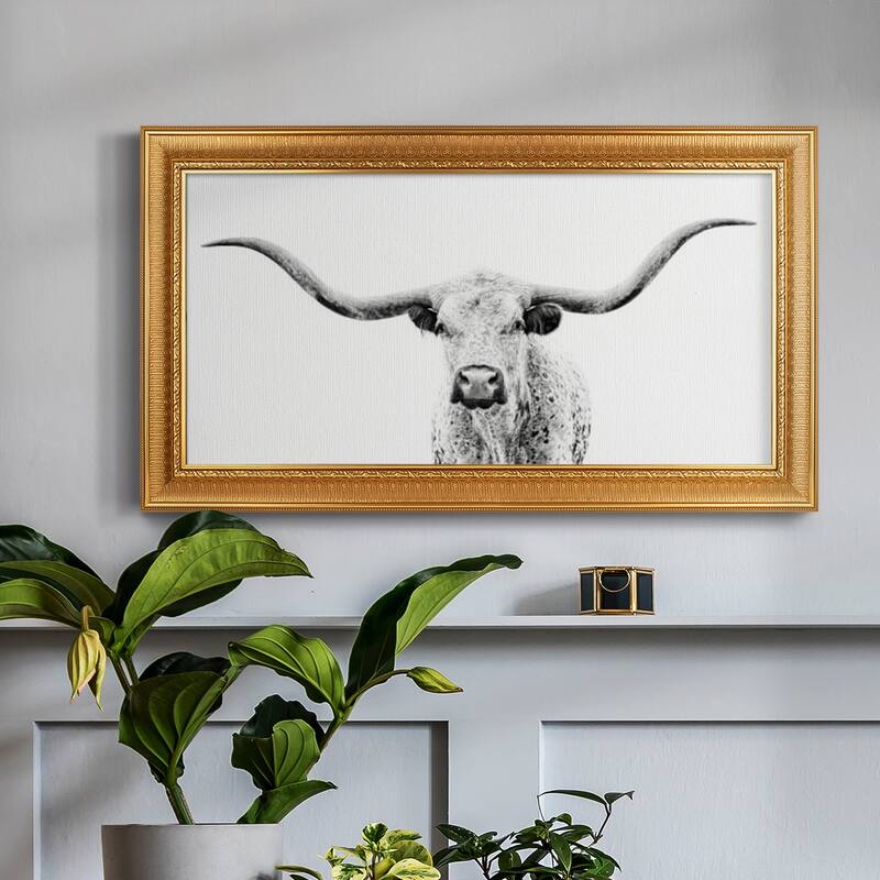 Longhorn Gaze Premium Framed Canvas- Ready to Hang