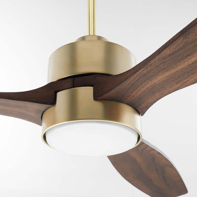 Quorum International 21653 Reni 65" 3 Blade Indoor Ceiling Fan with