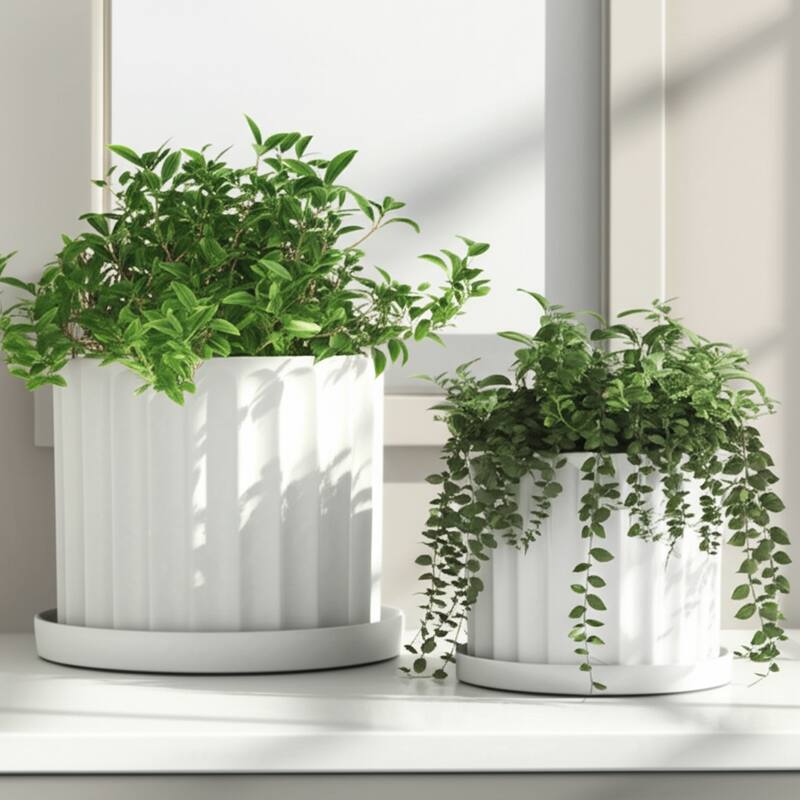 Ceramic Saucer Planters Ribbed Texture (Set of 2) - 10", 9" White - 12" x 12" x 10"