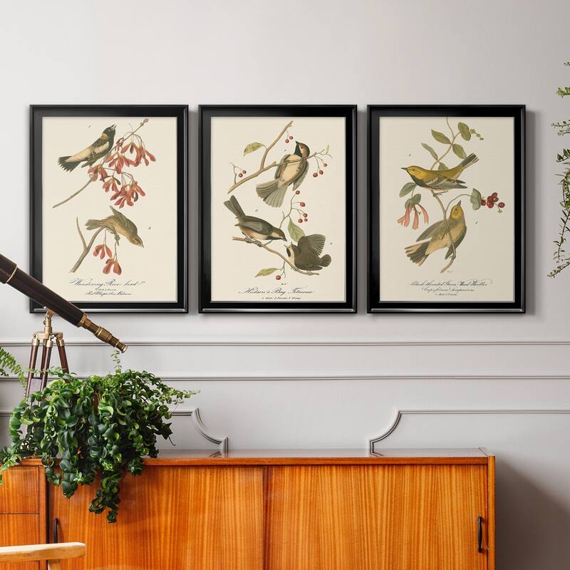 Wandering Rice Bird Premium Framed Canvas - Ready to Hang - Multi-Color