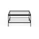 Alexis Metal and Glass Coffee Table