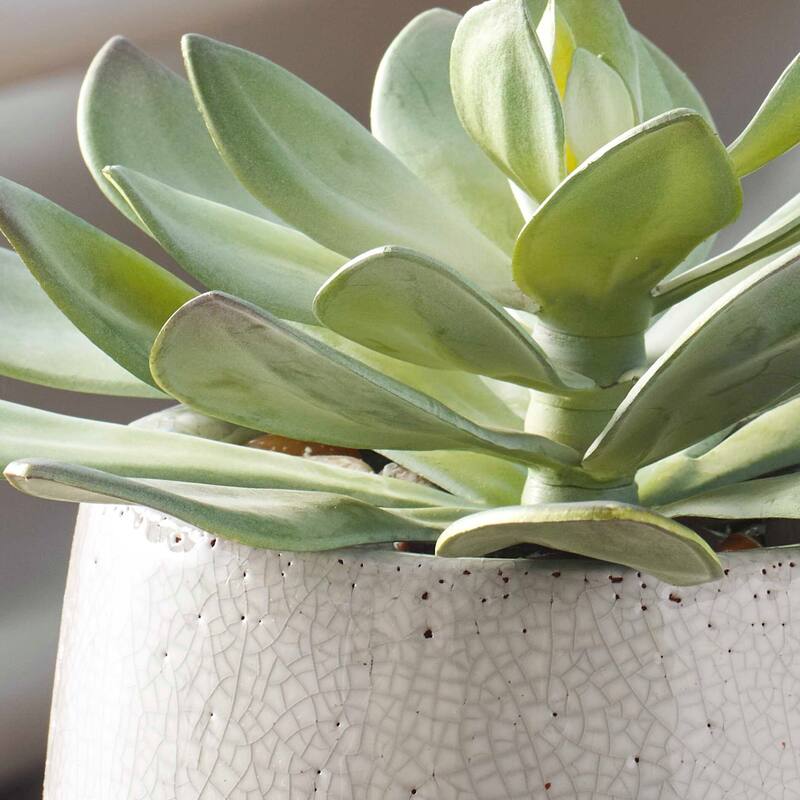 Uttermost 60261 Dudleya 10" Wide Succulent Artificial Plant in a - Green / Aged White / Blue Gray