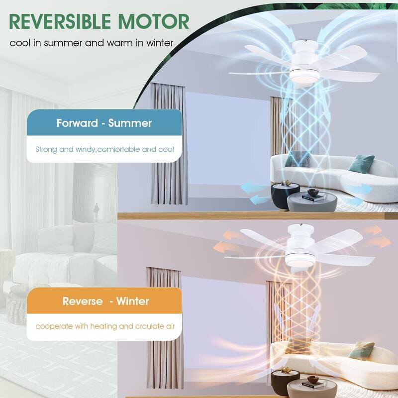41 Inches Ceiling Fan with Light,5 ABS Blades,Flush Mount Low Profile Ceiling Fan with LED Light and Remote - 41 Inches