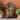 Colquitt Outdoor Tier Jar Fountain Outdoor 4 by Christopher Knight Home