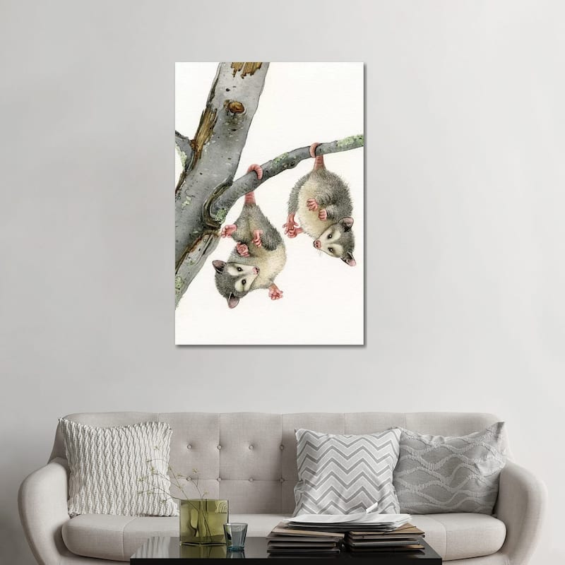 iCanvas "Playful Possums" by Tracy Lizotte Canvas Print - 48x32x1.5