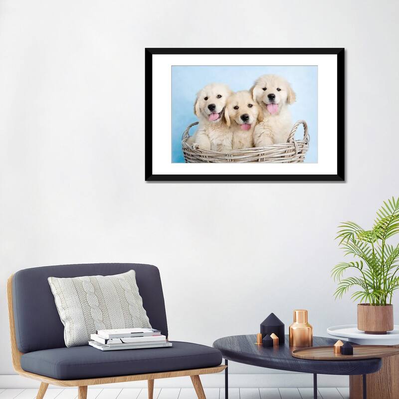 iCanvas "Buffy, Biskit, And Beau" by Rachael Hale