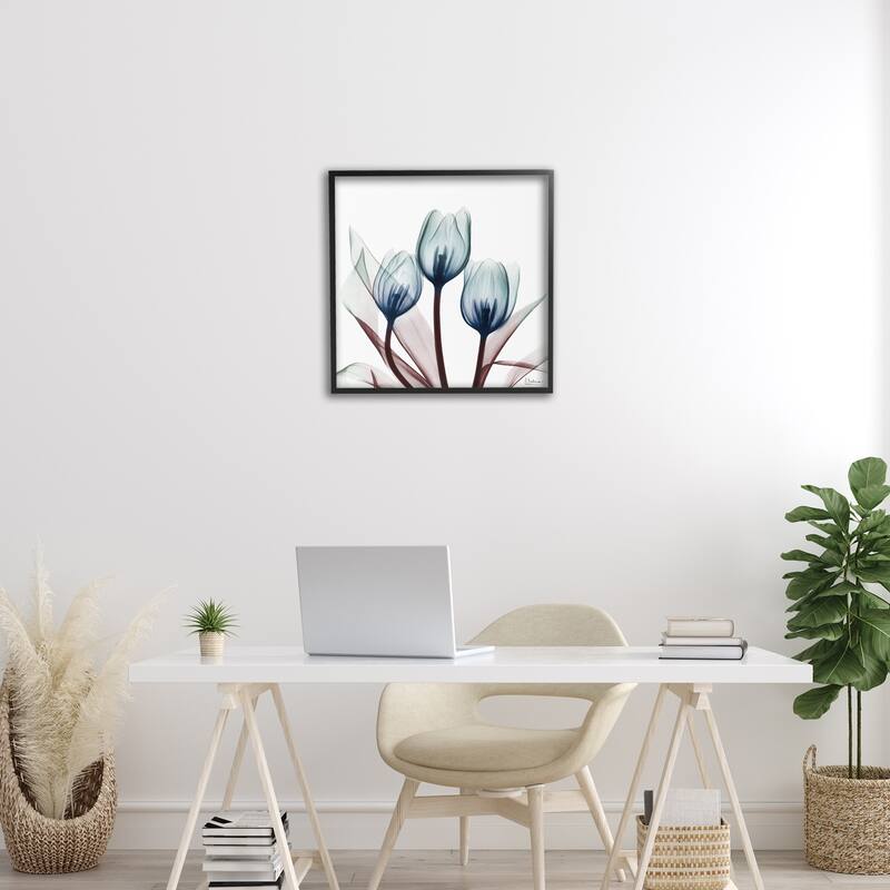 Stupell Chic Blue Translucent Tulips Framed Giclee Art Design By Albert Koetsier