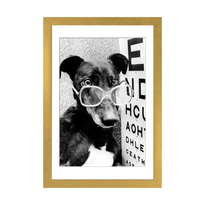 iCanvas "Greyhound Wearing Glasses February 1987" by Rue Des Archives - Gold - 24x16x1