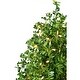 preview thumbnail 10 of 8, Fraser Hill Farm 4-Ft. Boxwood Porch Tree in Black Pot with Warm White Lights, Set of 2