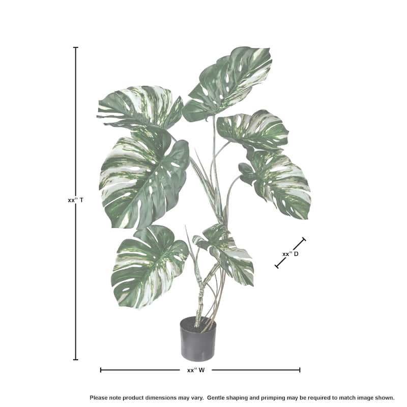 Potted Pu Monstera Plant 28"