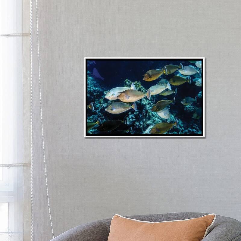 iCanvas "A School Of Unicorn Fish" by Brook Peterson Framed Canvas Print