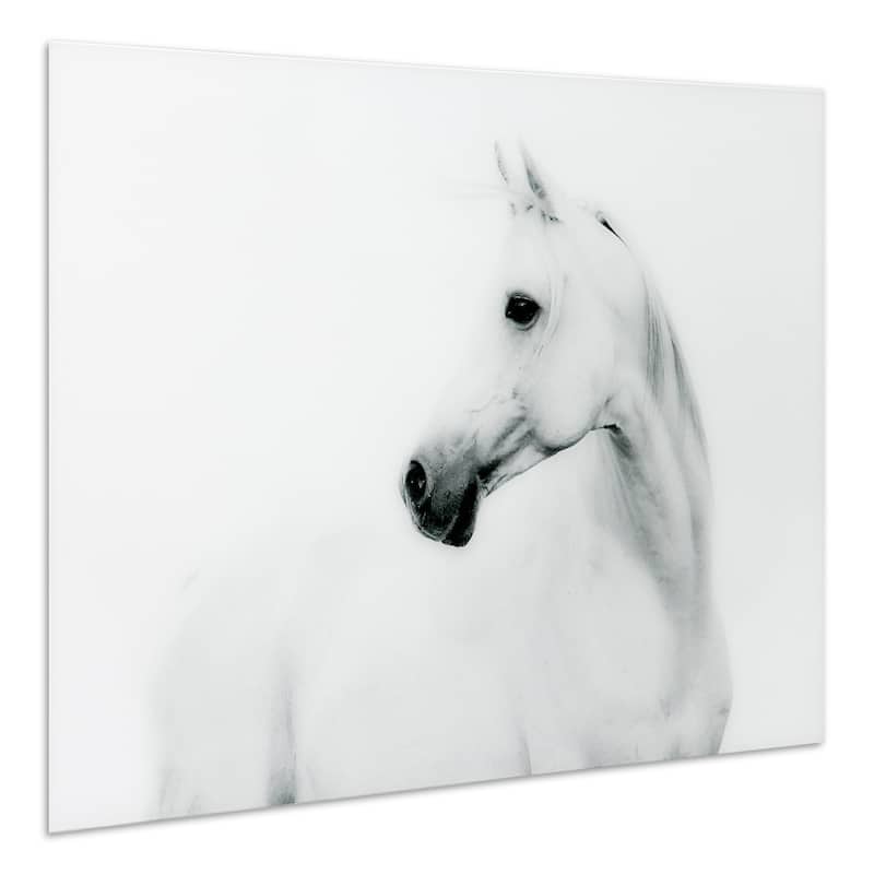 White Horse Frameless Free Floating Tempered Art Glass Wall Art