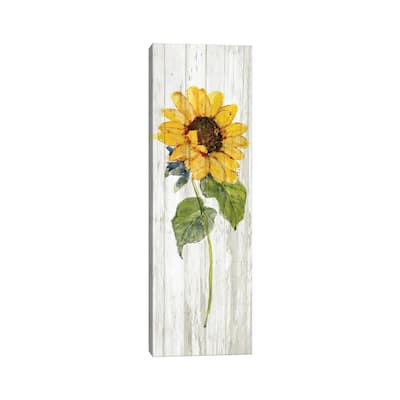 iCanvas "Sunflower in Autumn I" by Sally Swatland Canvas Print