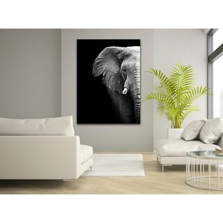 Elephant Profile Photography Canvas Art - Bed Bath & Beyond - 30218369
