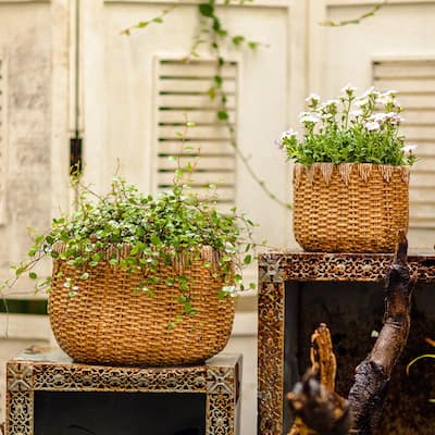 RusticReach Lady Straw Basket Cement Planter