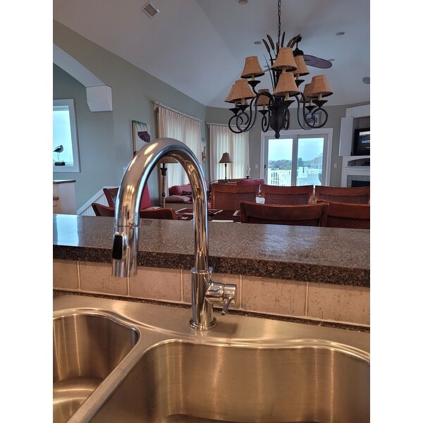 Top Product Reviews for Delta Trinsic Single Handle Pull-Down ...