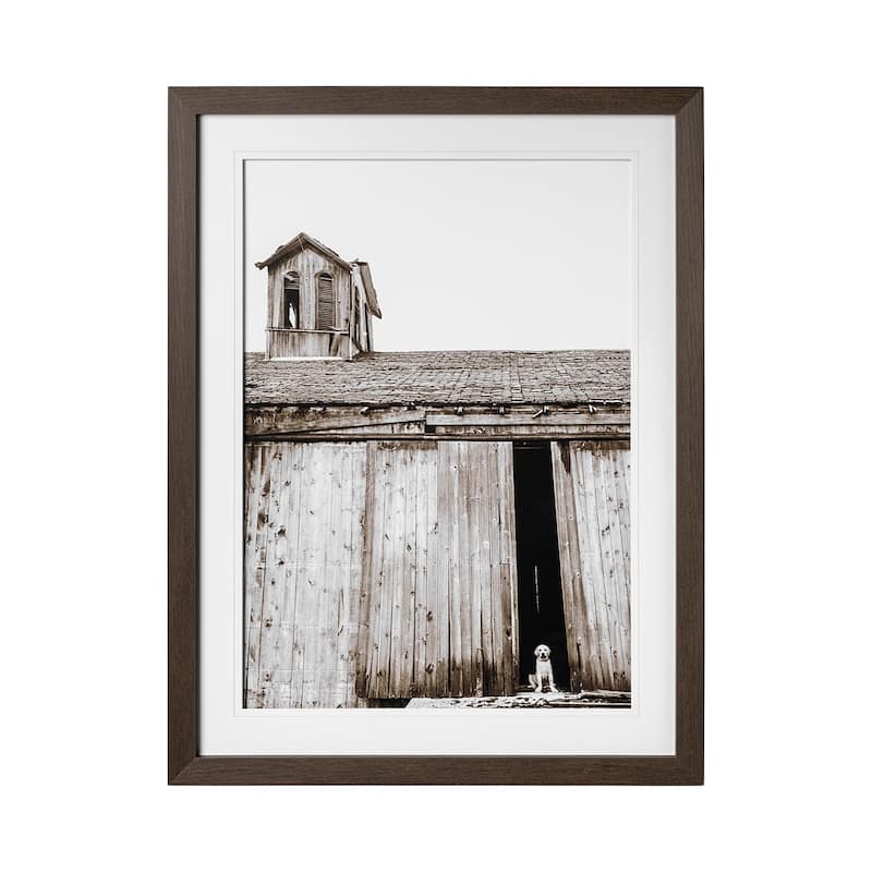Barnyard Dog v2 Framed Art Print