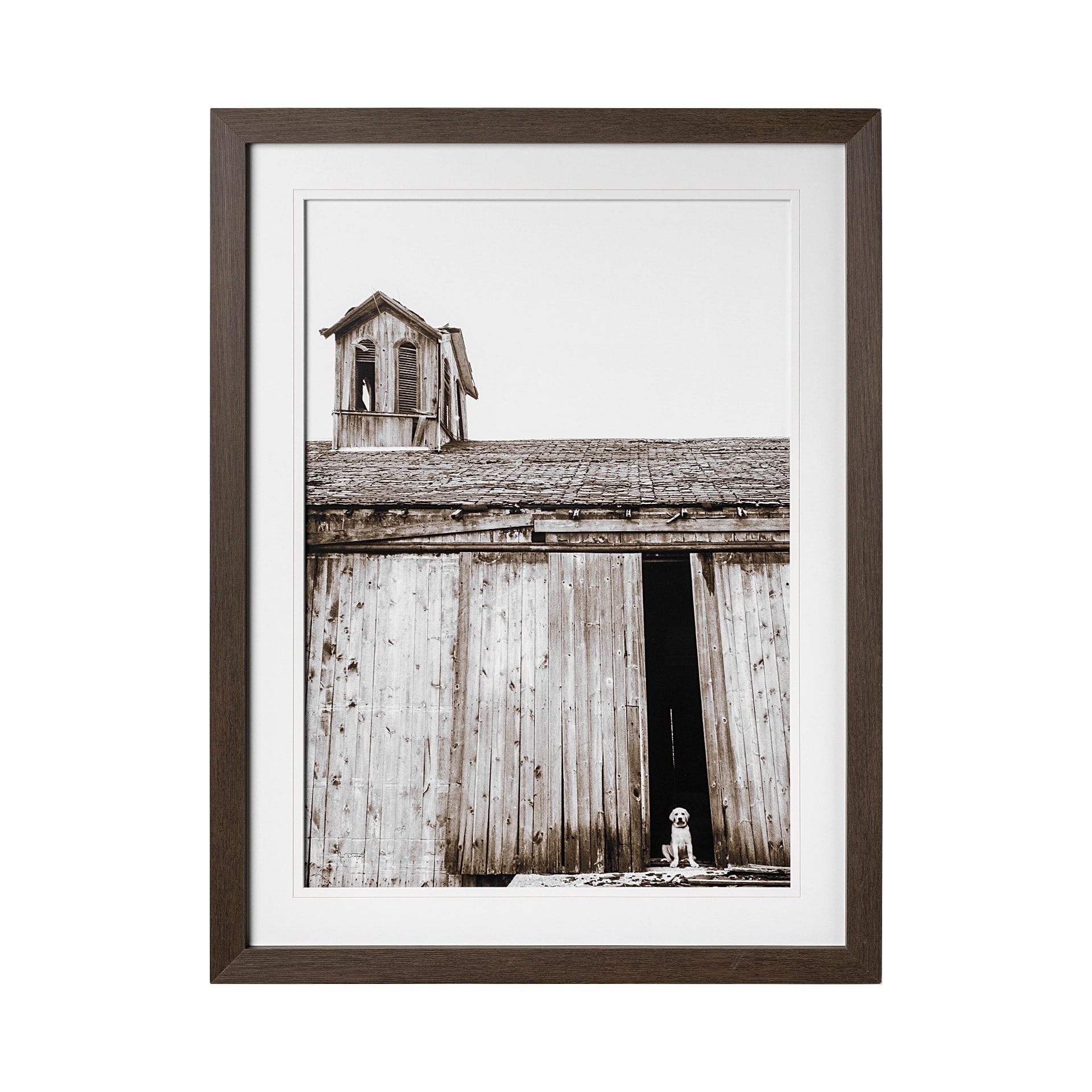 Mercana Barnyard Dog v2 by Mercana Studio a Framed Photo Art Print Matted under Glass