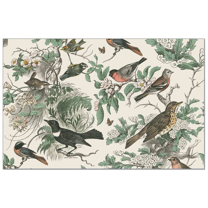 Honeybloom Birds 24 Sheet Reusable Premium Paper Stock Placemats in Resealable Storage Bag Made in The USA 17" x 11" - Multi - More than 12