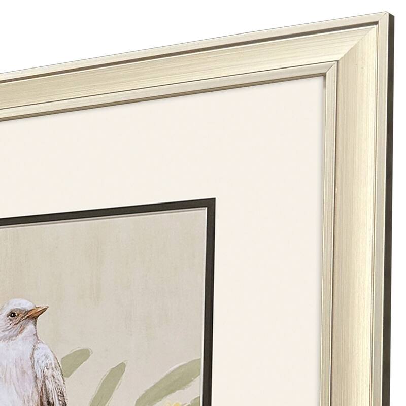 Paragon Botanical Birds Framed Art - Set of 2