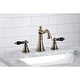 preview thumbnail 43 of 48, Duchess 8 in. Widespread Bathroom Faucet
