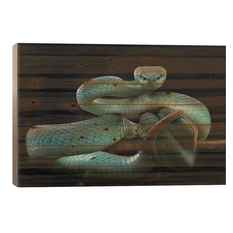 Trimeresurus Insularis [Blue] Print On Wood by Wel Nofri - Multi-Color - 18x26x1.5