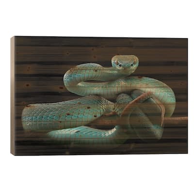 Trimeresurus Insularis [Blue] Print On Wood by Wel Nofri - Multi-Color