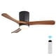 preview thumbnail 40 of 70, Sofucor 48/52 Inch Solid Wood Ceiling Fan with Light Optional, 6-Speed Reversible DC Motor and Remote control,Smart Optional