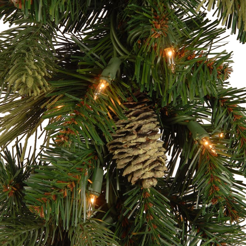 National Tree Company 9 ft. Carolina Pine Garland with Clear Lights - 9 ft
