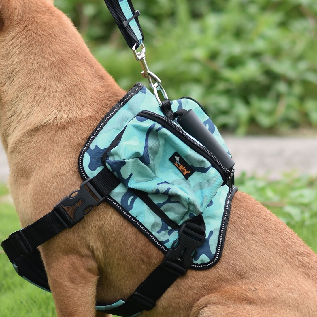 dog backpack leash