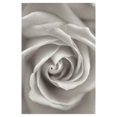 Florison #23 by Alan Blaustein Canvas Art Print