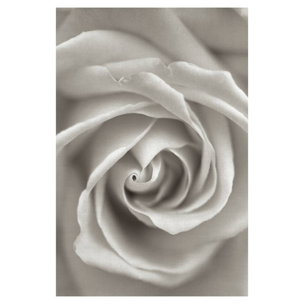 Florison #23 by Alan Blaustein Canvas Art Print