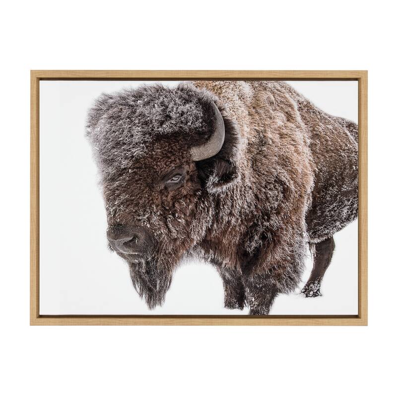 Kate and Laurel Sylvie Bison in Snow Framed Canvas by Amy Peterson Art Studio