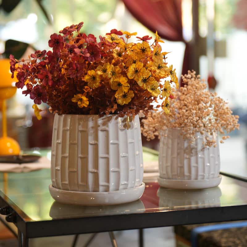 2 Pack Succulent Pots, 6" & 8" Mini Ceramic Plant Pots for Flower or Cactus Plants