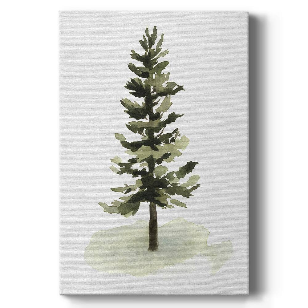 Watercolor Pine II Premium Gallery Wrapped Canvas - Ready to Hang