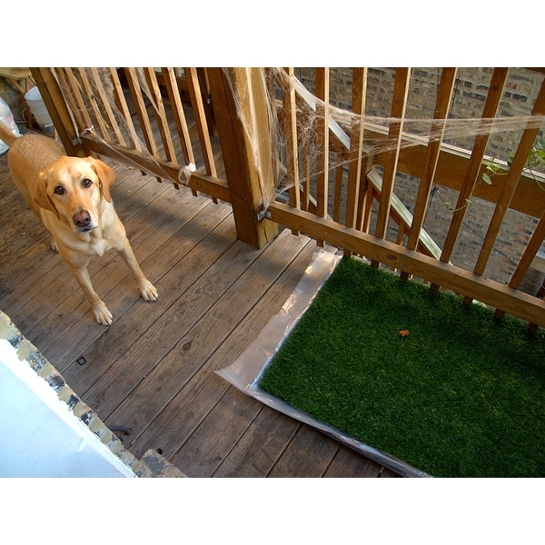Tinkle turf for shop dogs