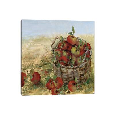 iCanvas "Apple Picking II" by Sally Swatland Canvas Print