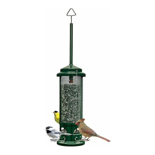 slide 1 of 1, Brome Squirrel Buster Legacy Bird Feeder with 4 Metal Perches Green