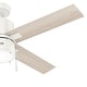preview thumbnail 14 of 13, Hunter 52" Beck Ceiling Fan with LED Light Kit and Pull Chain - Transitional, Modern, Farmhouse